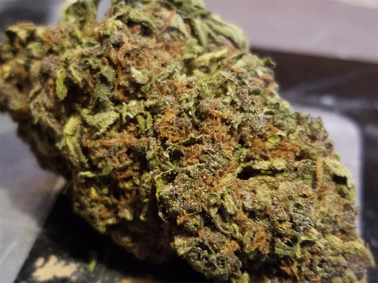 Dark Star